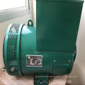 Hot Sale 8kw St Stc Series AC Double Bearing Synchronous Brush Generator Alternator